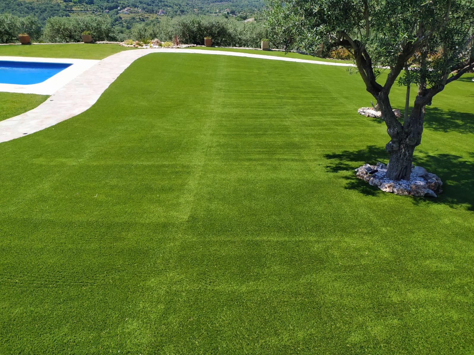 Césped artificial Jardinería