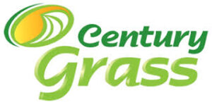 CENTURY GRASS